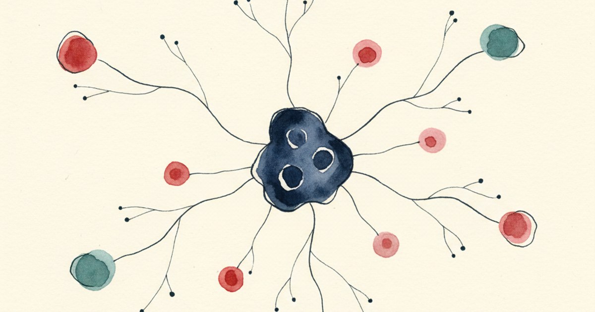 Editorial illustration of a central stem cell with branching differentiation lines.