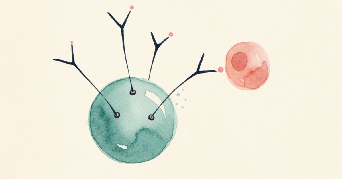 Editorial illustration of a T-cell with engineered receptors binding a tumour cell.