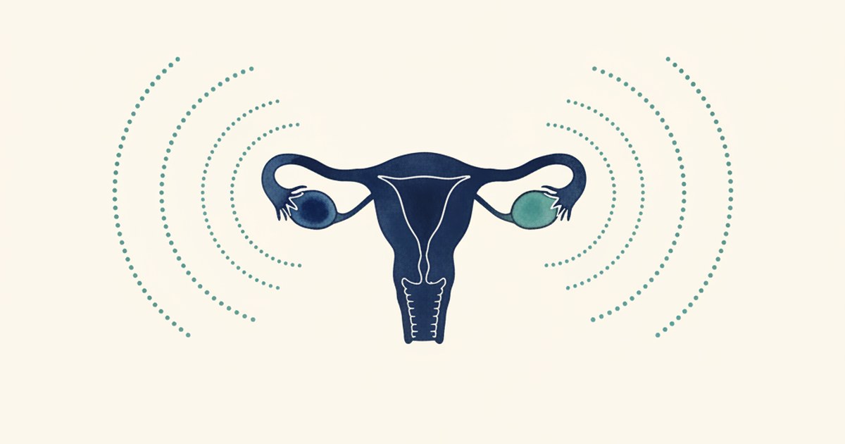 Editorial watercolor of paired ovary shapes.
