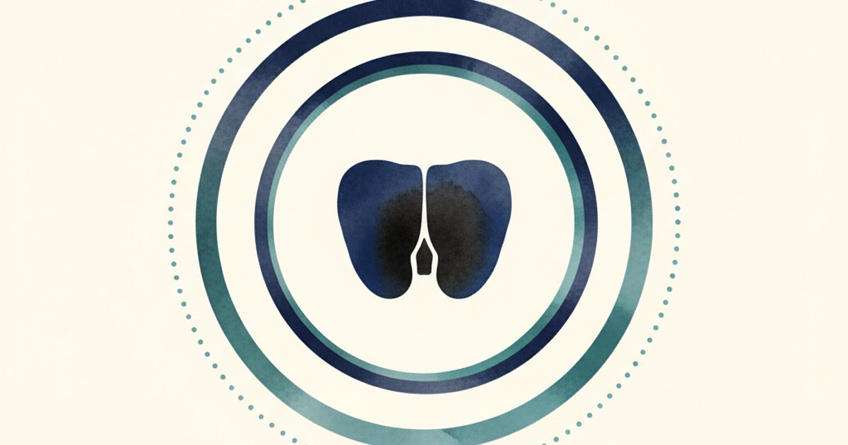 Editorial watercolor of a walnut-like shape inside concentric rings.